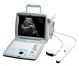 ultrasound scanner bw8a